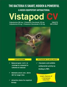 Vistapod CV